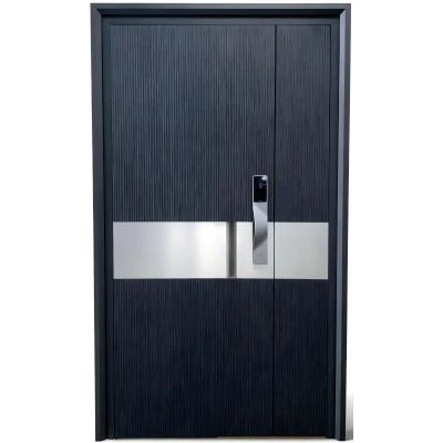 Aluminium Front Doors Feature