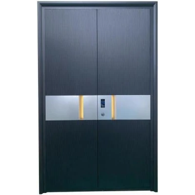 Aluminum Entry Doors Residential feature