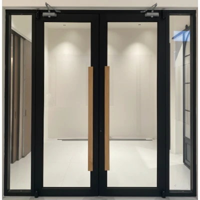 Aluminum-framed glass door with door closer feature
