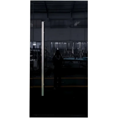 Black Aluminum Door With Tempered Glass Panels Feature