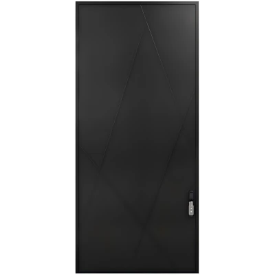 Oversized Aluminium Front Doors Feature