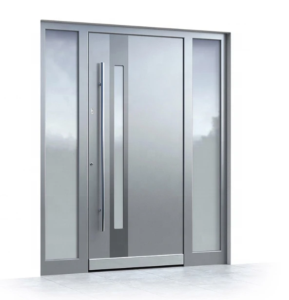 Aluminum Panel Swing Door gray