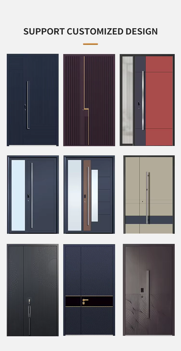 Aluminum Panel Swing Door style