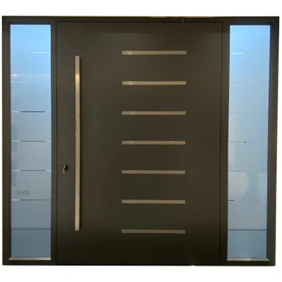 Aluminum Panel Swing Door