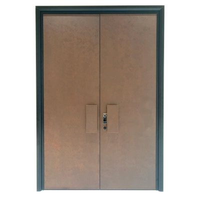 Aluminum-Wood Security Door