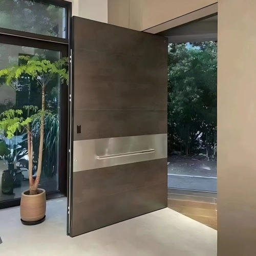 Modern Pivot Door apartment