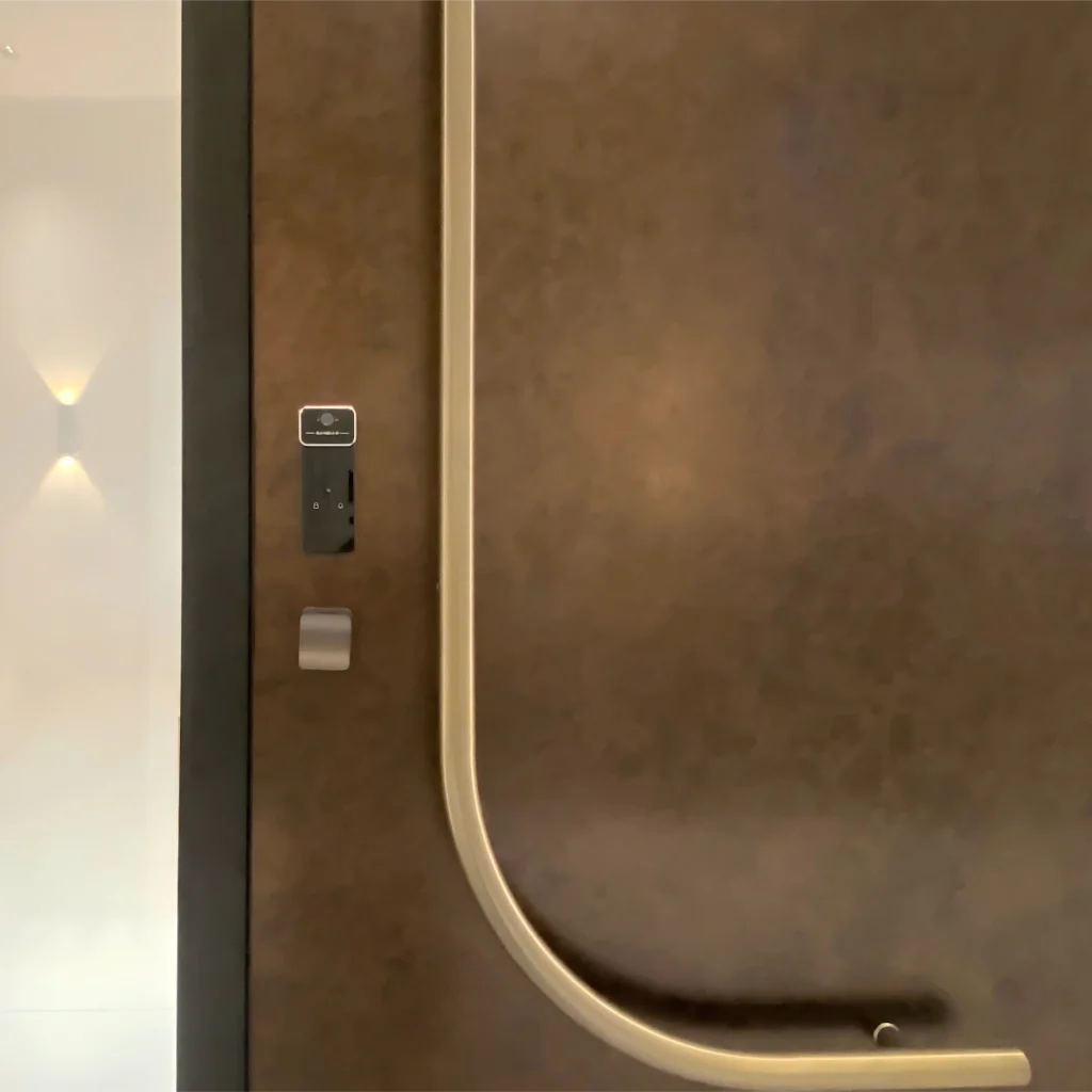 Modern Pivot Door front middle