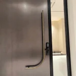 Modern Pivot Door reverse middle