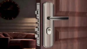 Multi-Point Lock Entry Doors key cylinder