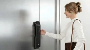 Smart Lock Aluminum Doors