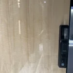 black aluminum pivot entrance door with high gloss interior panel