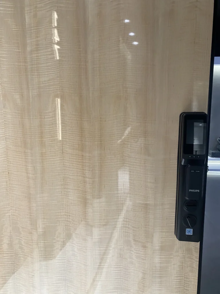 black aluminum pivot entrance door with high gloss interior panel