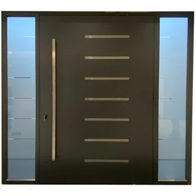 Aluminum Panel Swing Door