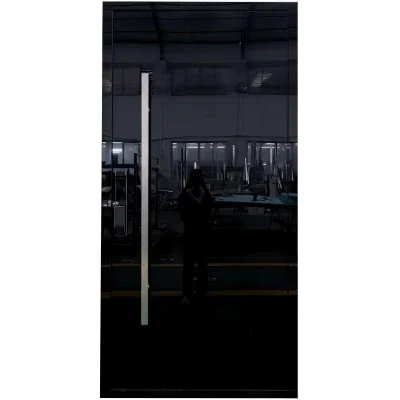Black Aluminum Door With Tempered Glass Panels Feature