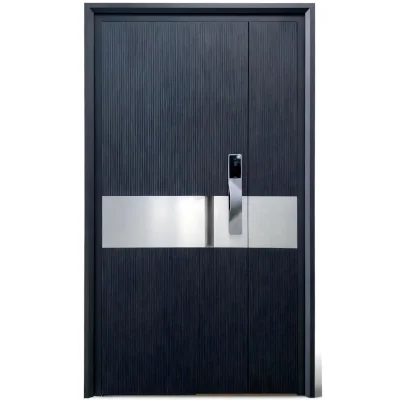 Modern Black Aluminum Pivot Doors